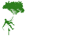 Tree Surgery Pinner from Majestic Tree Care Ltd Logo